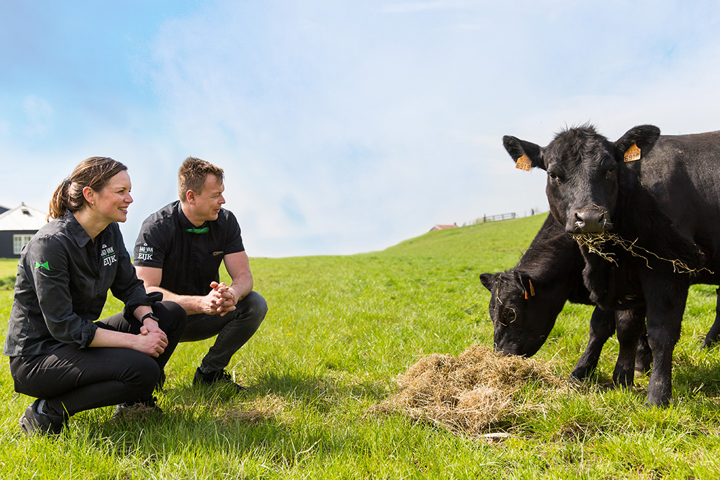 black angus vlees van onze eigen boer