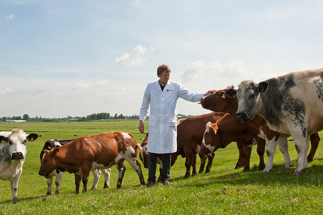 Vlees van eigen vee